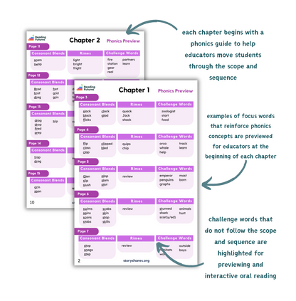 Phonics guide for older striving readers